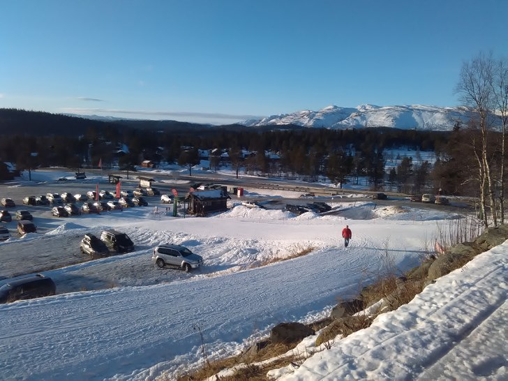 Solen er kommet frem 
Vi har sol og fast fine forh.