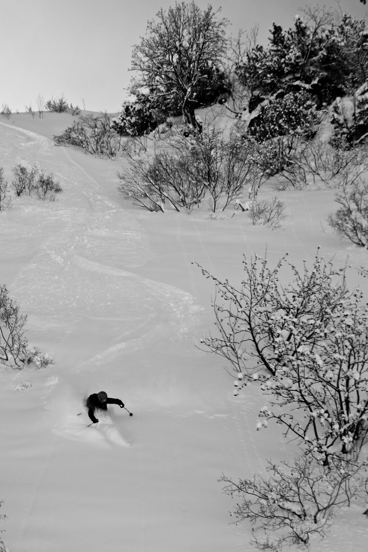 Foto: Felix Grunert. Åkare: Rikard Lindblad.