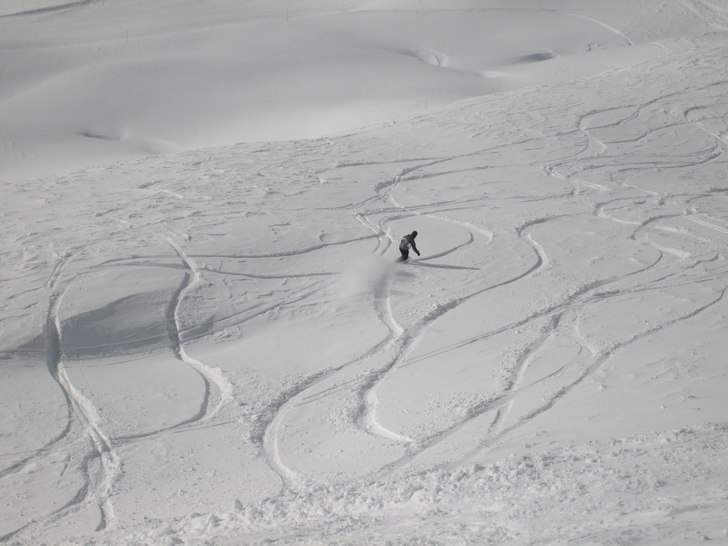 Foto: Tobias Rydberg. Åkare: Elin Nordh.