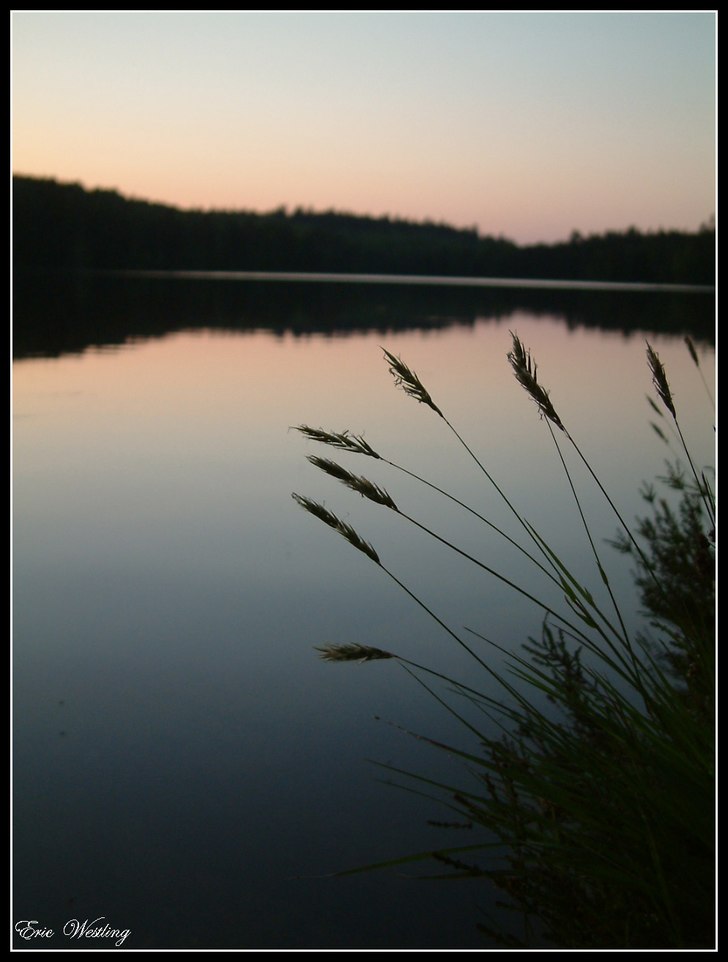 Troligen den bästa naturbild jag någonsin tagit.. Foto: Eric Westling.