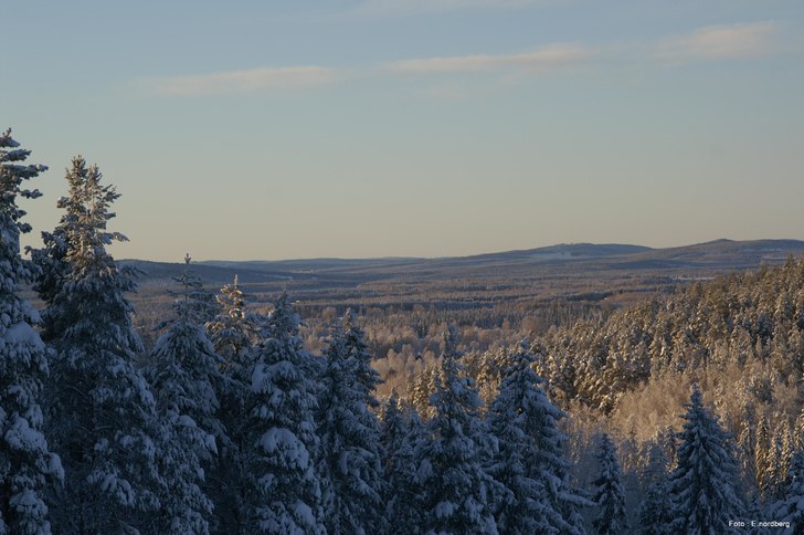 Foto: Emil Nordberg.