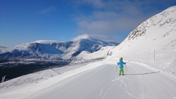 "Sist ner är en rutten fläsk!". Foto: Magnus Eriksson Brändström. Åkare: Alvin.