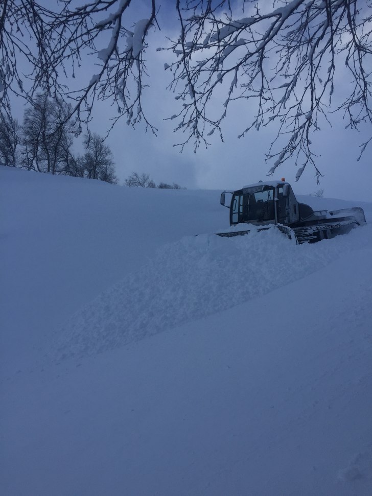 Mye snø til helgen
Fantastiske forhold i bakken n.