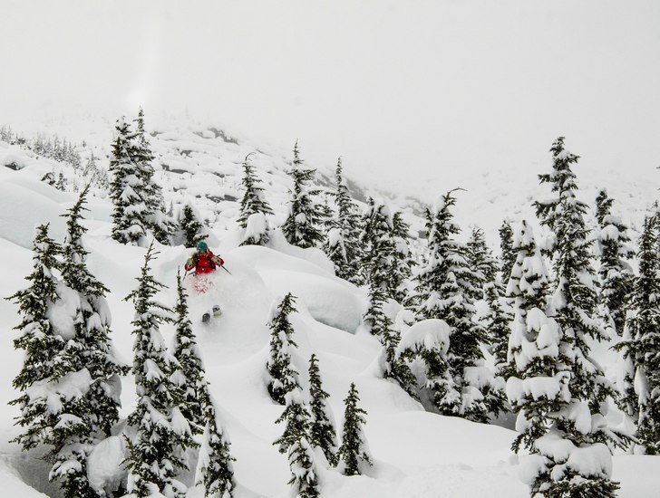 Galet bra dag i Rogers Pass med X antal nya centim. Foto: Oskar Wagrelius. Åkare: Julia Levin.