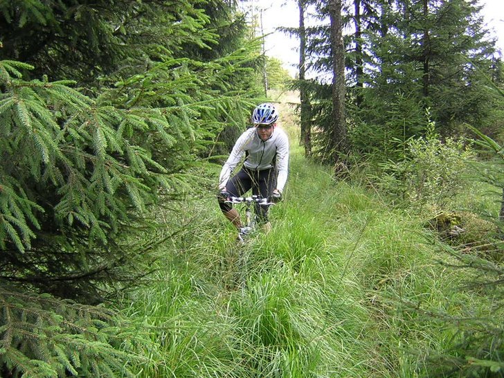 Foto: Tord Nilson. Åkare: Bobo Nilson.