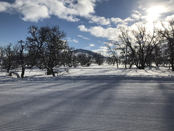 Kjempeforhold i dag????
Nyt dagen i dag????.