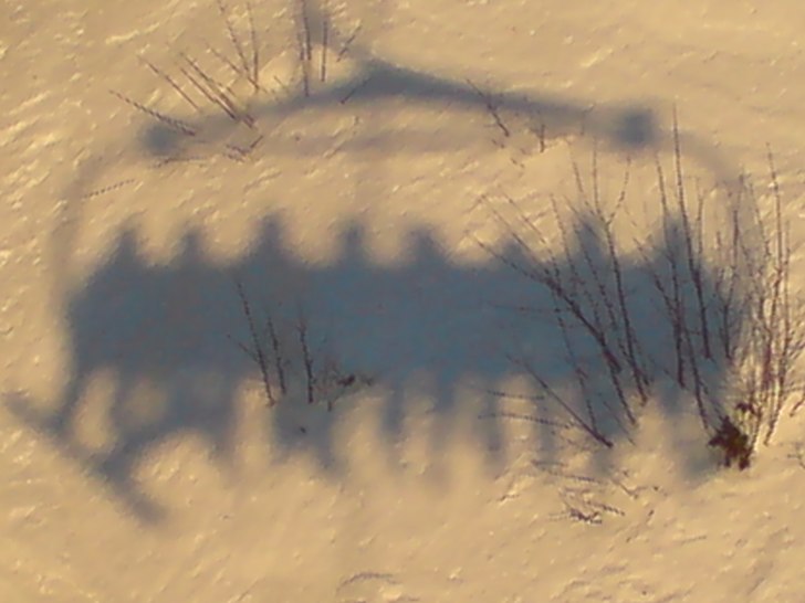 Mjauklubben i VM-8an. Foto: Johan Fahlgren.