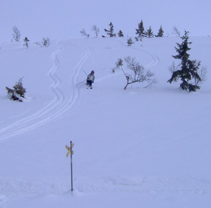 Foto: Håkan. Åkare: Anton Welin.