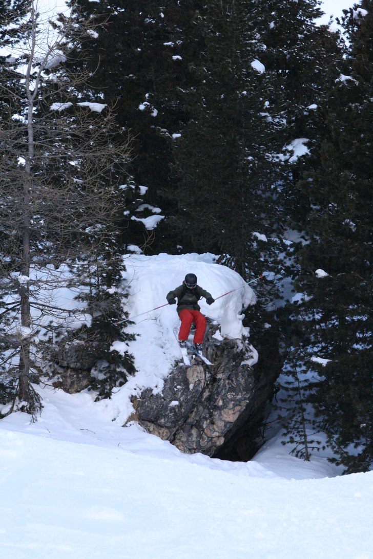 ja woll . Foto: Alexander linder. Åkare: Don jacob svennnarp.