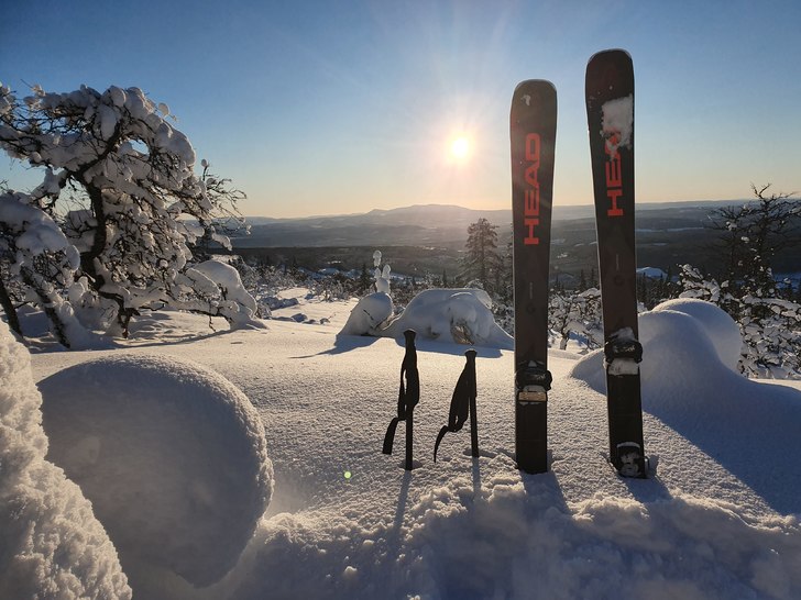 Lätt att se varför Skalet blev valet.