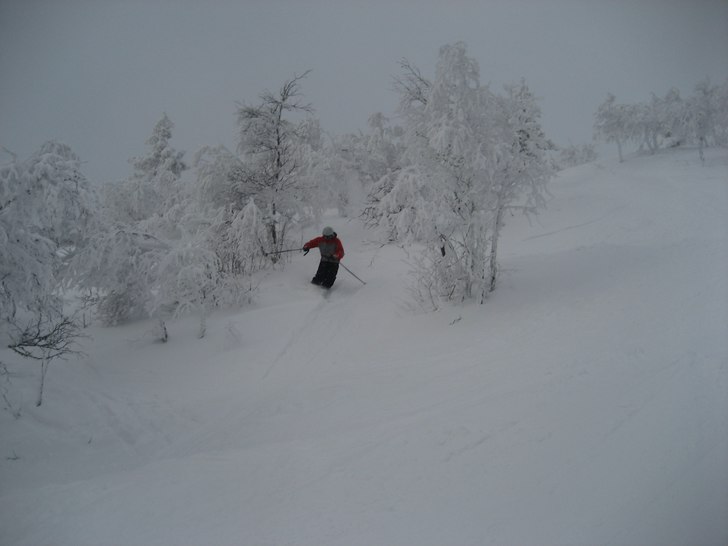 Foto: Ludvig Hult. Åkare: Daniel Larsson.