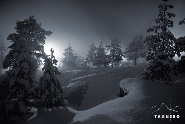 Snöläggning, december 2008. Foto: Peter Tannebo.