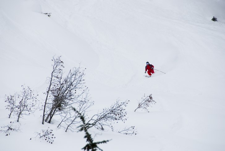 Karl lägger en av många pudersvängar i Rogers.. Foto: Emil Rydell. Åkare: Karl Norling.
