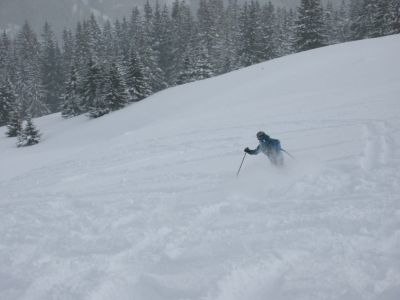 Foto: per ulv. Åkare: Tor Arne Waldal.