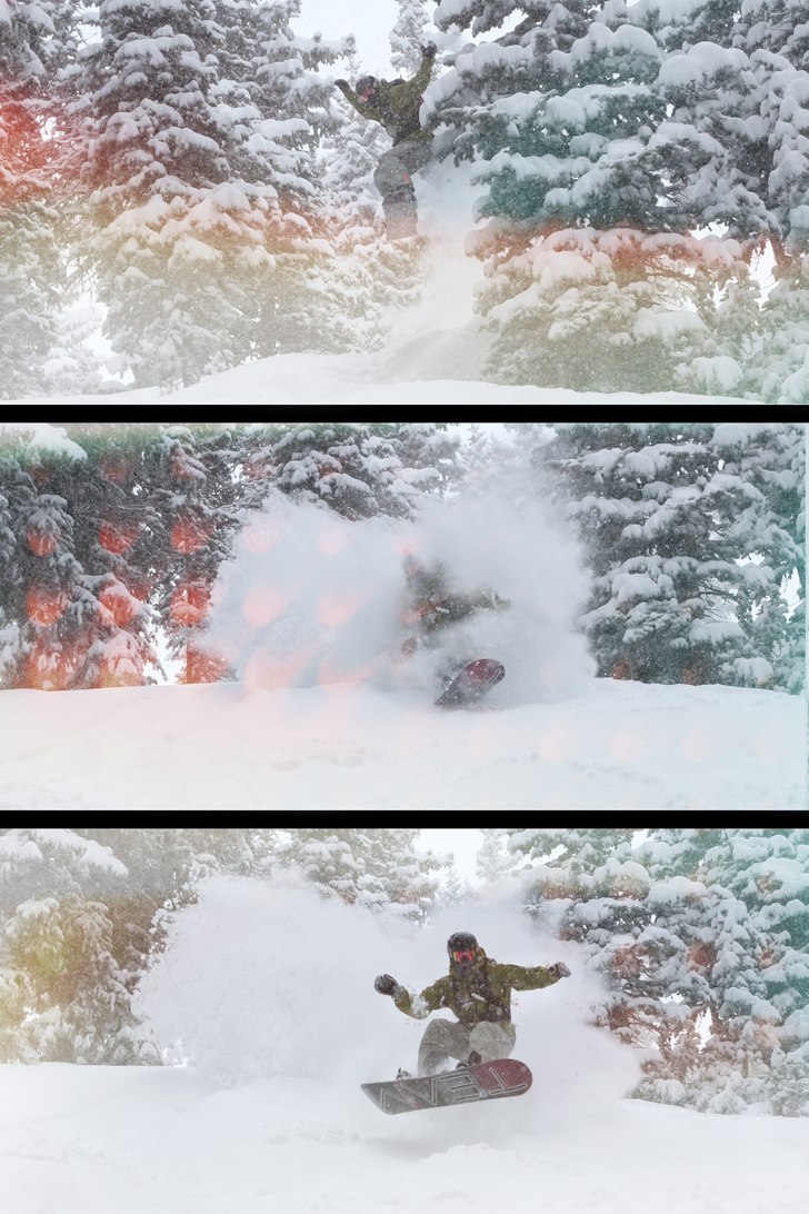 O´ Trees. Foto: Croshane. Åkare: Jag.