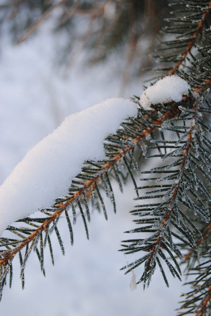 Foto: Linn Östlund.