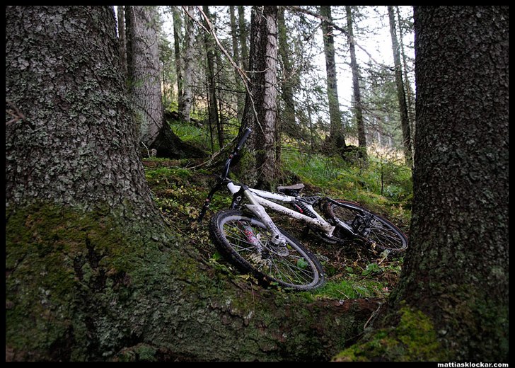 Foto: Mattias Klockar.