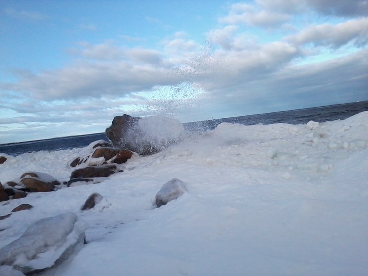 Foto: ian Archibald.