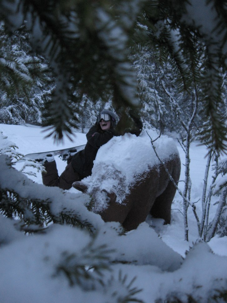 björnkram. Foto: Hilla Aspman. Åkare: Kattis Persson.