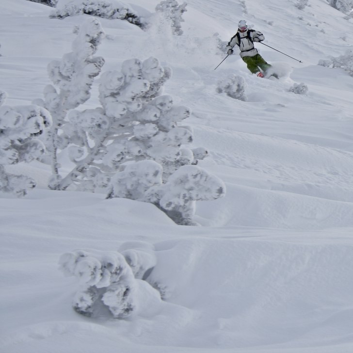 Foto: Felix Grunert. Åkare: Patrik Hammarlund.