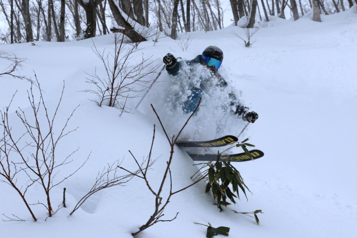 Puder i en bred skogsglänta med Per Powder Paradi.