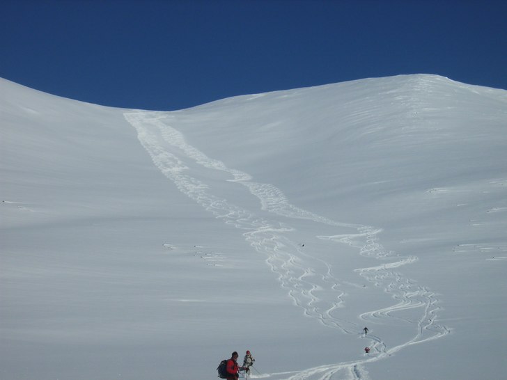 Heliskiing i Abiskoalperna. Foto: Mountain Man.