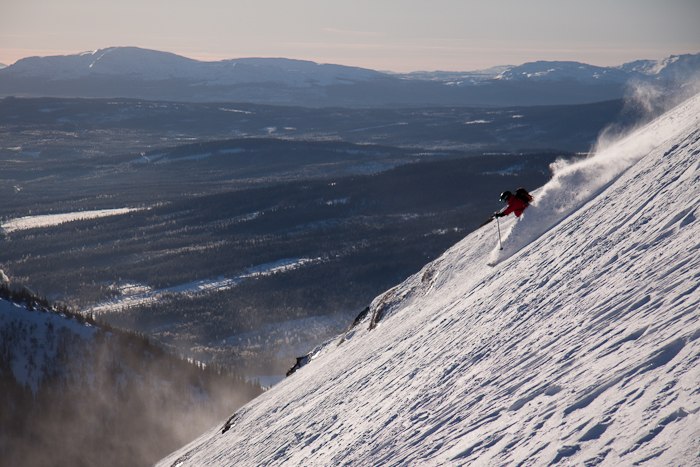 Foto: Gustav Hallén. Åkare: Bratt.
