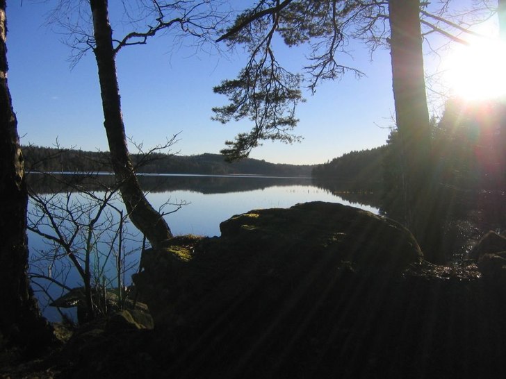 Solen sken och alla var glada? Utom fågel för ha. Foto: Viktor Åsander. Åkare: ingen.