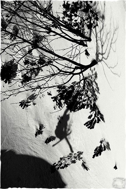 Foto: Tomek Gola. Åkare: Szczepan Karpiel.