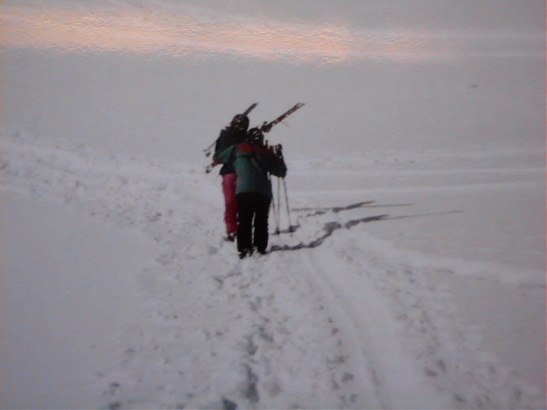 Foto: Ylva Borgström. Åkare: Mats Nystam, Love Nystam.