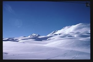 Foto: Stefan Forsell.