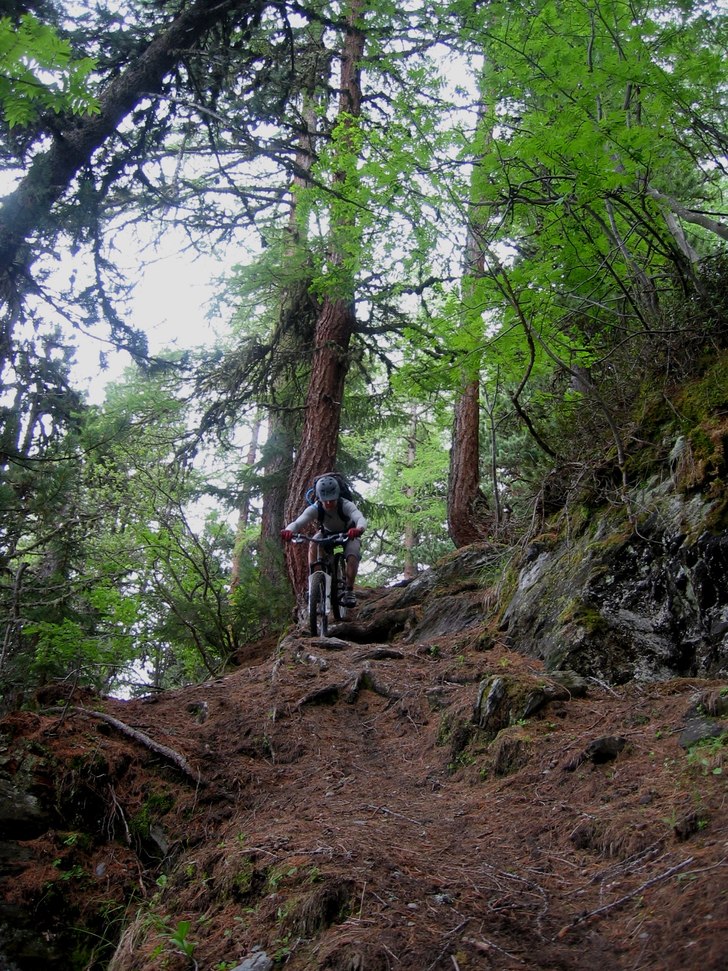 Fint som fasen i skogen. Och brant. Och mycket rö. Foto: arska saarimäki. Åkare: jonas sundstedt.