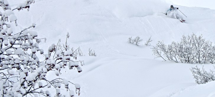 Foto: Felix Grunert. Åkare: Rikard Lindblad.