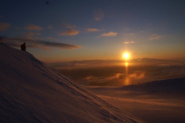 Foto: Kristoffer Olsson. Åkare: Greven.