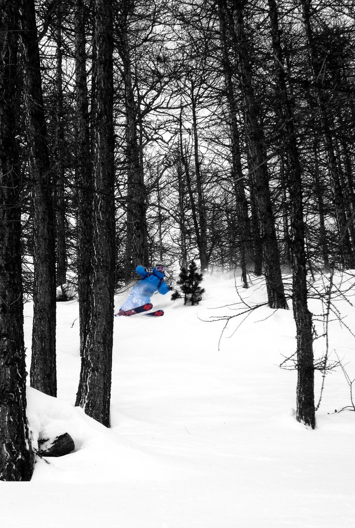 Foto: Magnus Kring. Åkare: Mårten Ågren.