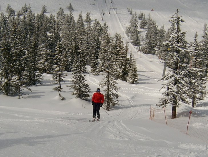 Härlig dag i Trysil. Foto: L-G Johansson. Åkare: Martin Sundvall.