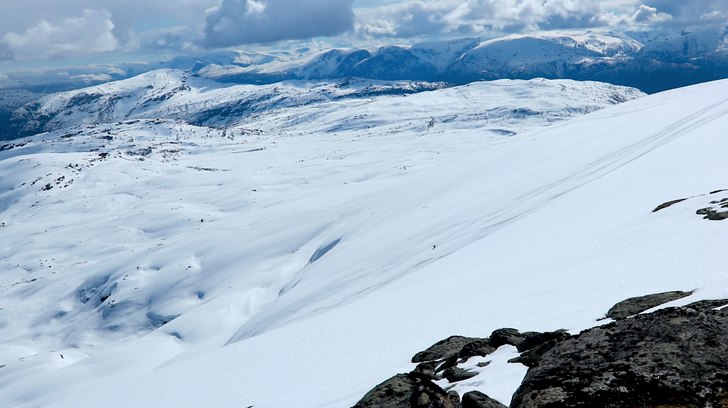 Foto: Anders Wingqvist.