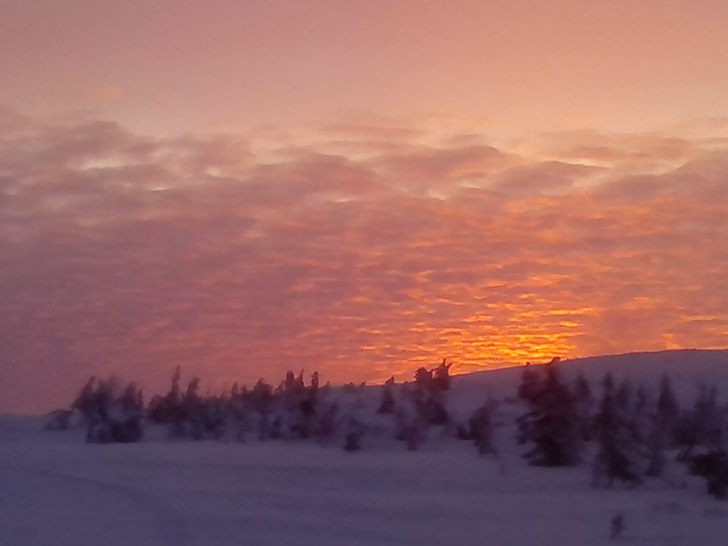 Rosa start på dagen..
En ny flott dag er på gang.
