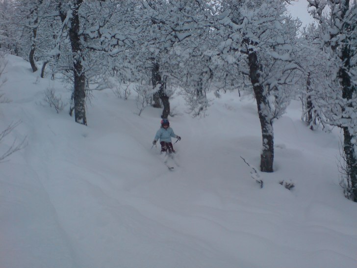 skogen är kul för alla barn.. Foto: Gert Anderzen. Åkare: Johanna Anderzén.