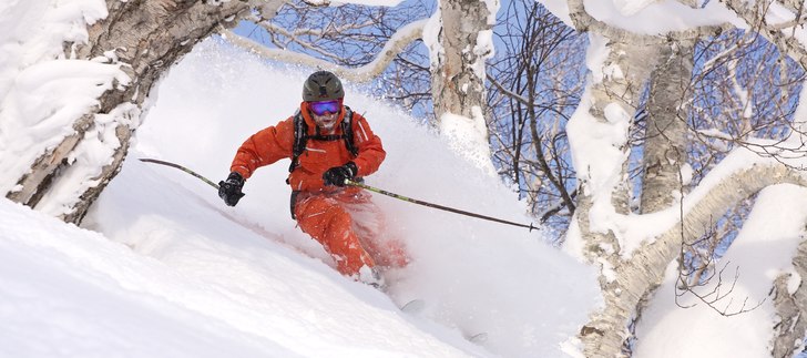 Några härliga pudersvängar i vinterparadiser Ja. Foto: Alexander Ovinder. Åkare: Fredrik Trella.