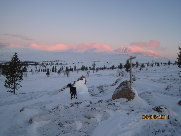 Foto: anders rennermalm. Åkare: Lucia på väg mot sölen.