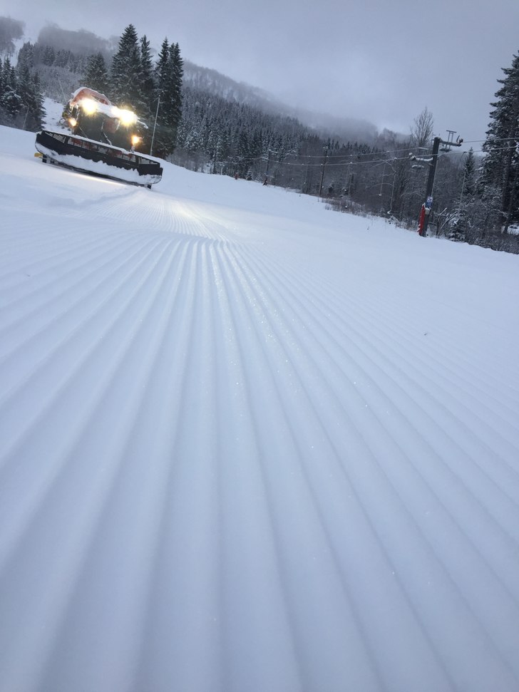 Heisane opnar igjen denne veka
Vi har fått 20-25 .