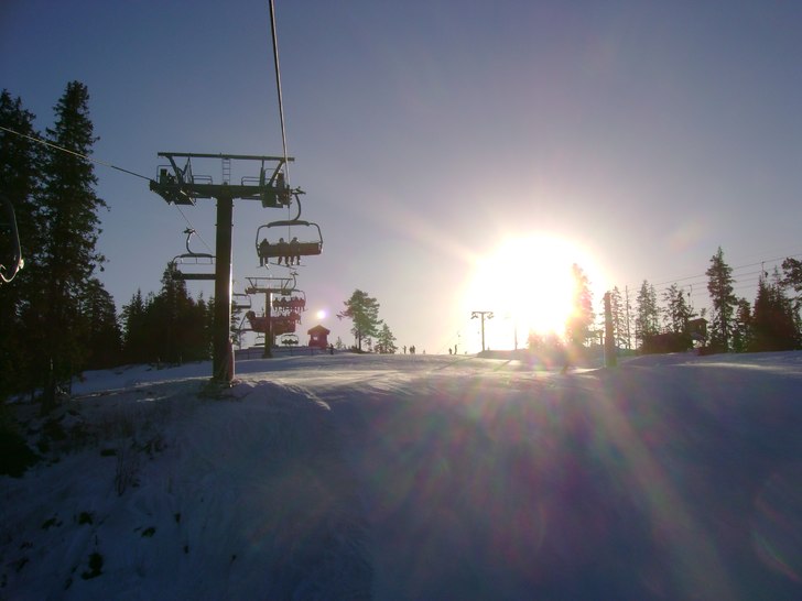 fin sol=). Foto: pillan.