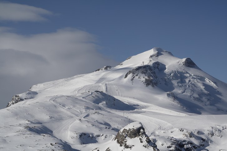 Foto: Stefan Johansson.