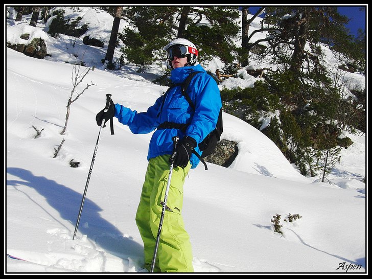 Me... Foto: L-G Asp. Åkare: Johan Asp.