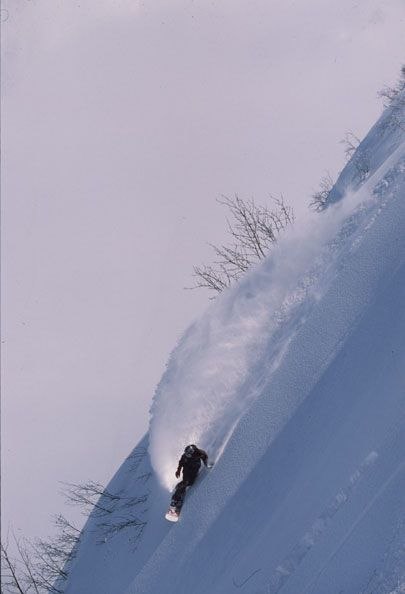 Foto: Oskar Enander. Åkare: Tb Nordahl.