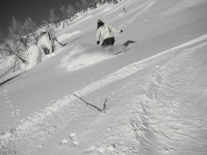 Foto: Malin Lindberg. Åkare: Evelina.