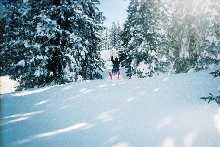 Foto: Henrik Fransson. Åkare: Mikael Risberg.