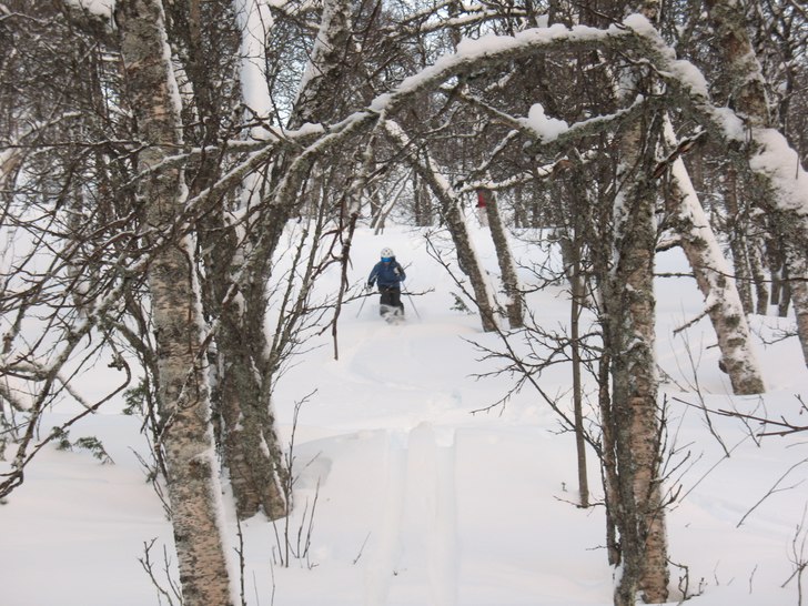 Skogsåkning i Ramis!. Foto: Lucas Berglund. Åkare: Anna Brammås.