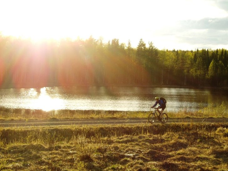 Vad vackert!. Foto: Johan Vall. Åkare: Jens Häggström.